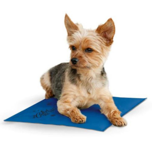 K&H Pet Products Coolin  Pet Pad Blue Sale