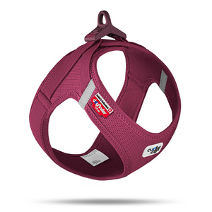 Curli Clasp Air-Mesh Vest Dog Harness Ruby Discount