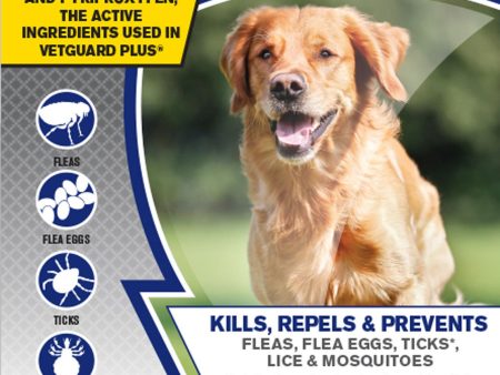 Durvet - Flea And Tick  D - Shieldtec Plus For Dogs 4-pack For Sale