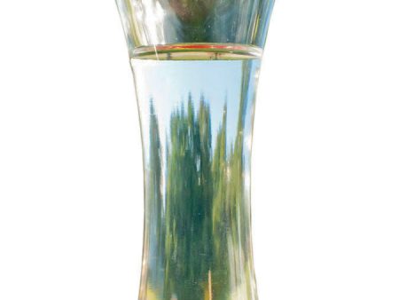 Audubon woodlink - Trumpet Glass Hummingbird Feeder Hot on Sale