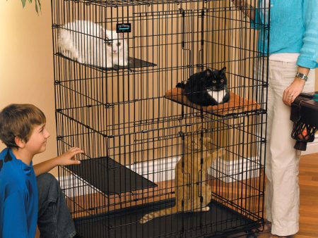 Midwest Homes For Pets - Cat Playpen For Sale