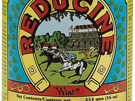 Farnam Co (equicare) - Reducine Absorbent Equine Liniment For Horses For Cheap