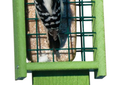 Audubon woodlink - Going Green Tail Prop Bird Feeder Online