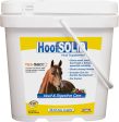 Durvet equine           D - Hoof Solid Online Sale