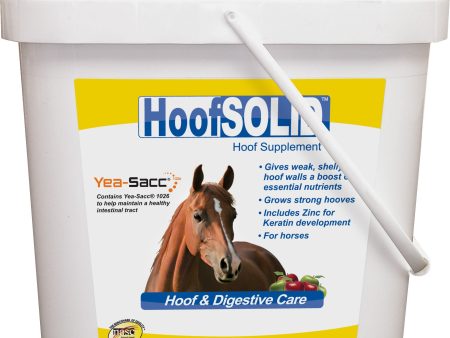 Durvet equine           D - Hoof Solid Online Sale