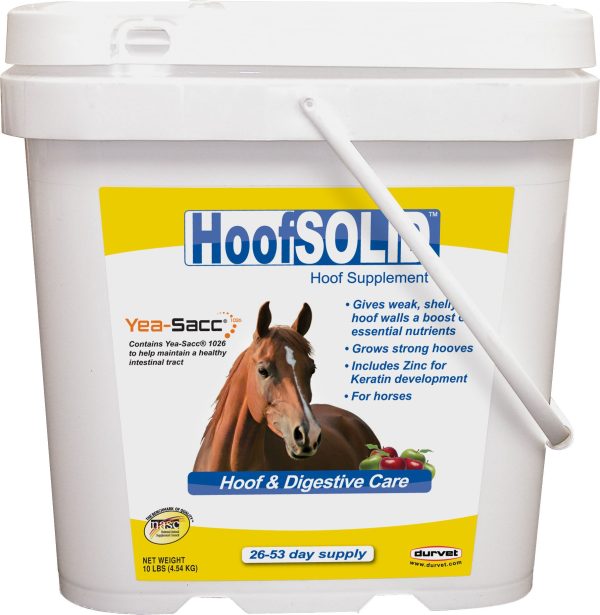 Durvet equine           D - Hoof Solid Online Sale